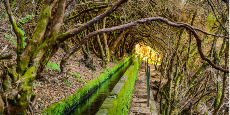 Viaggio a Madeira