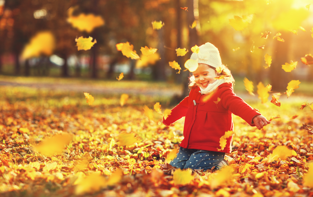 Il Foliage è un'attività perfetta per i bambini