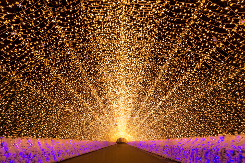 Winter Illumination