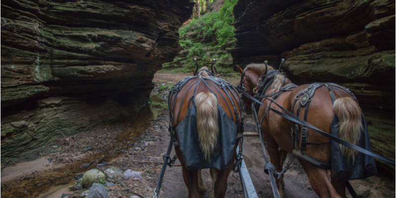 Lost Canyon, Wisconsin Dells 