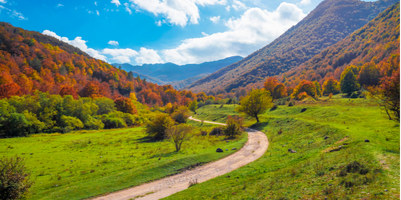 Abruzzo: le faggete del Parco nazionale d'Abruzzo, Lazio e Molise