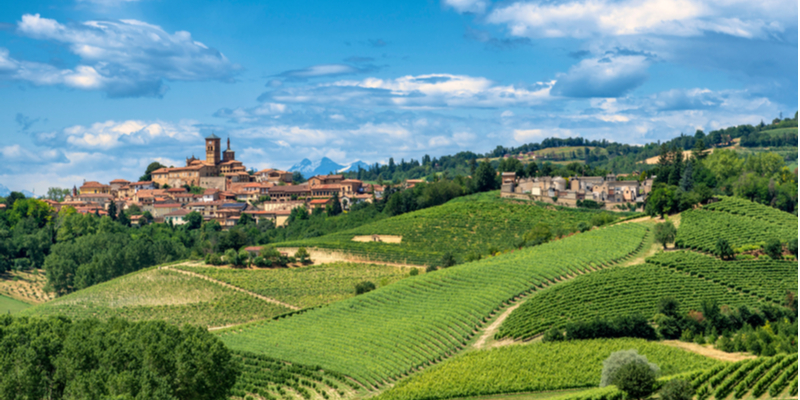 Piemonte: Paesaggio vitivinicolo del Piemonte: Langhe-Roero e Monferrato