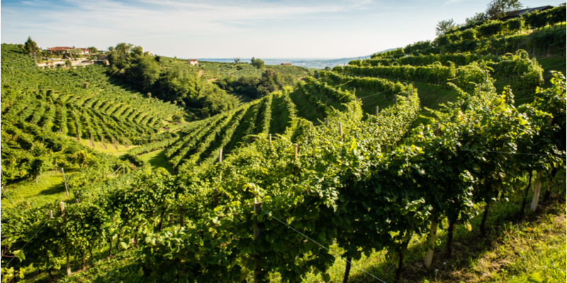 Veneto: Colline del Prosecco di Conegliano e Valdobbiadene