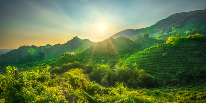 Colline del Prosecco