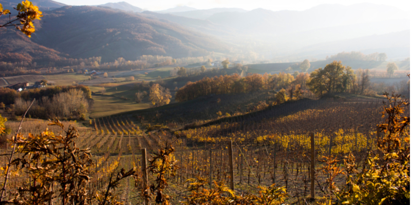 Panorama sui Colli Piacentini