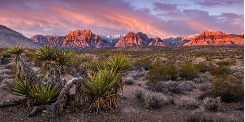 Red Rock Canyon 