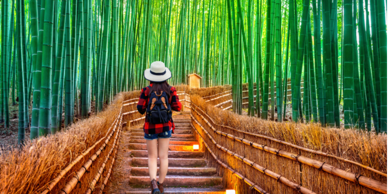 La foresta di bambù