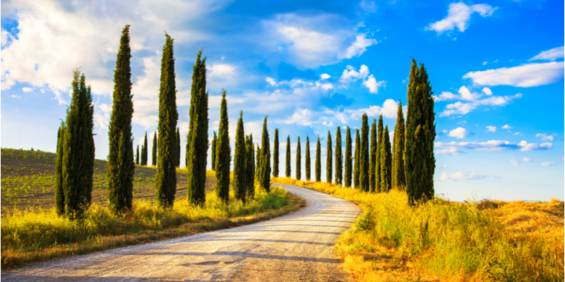 Panorami Senesi