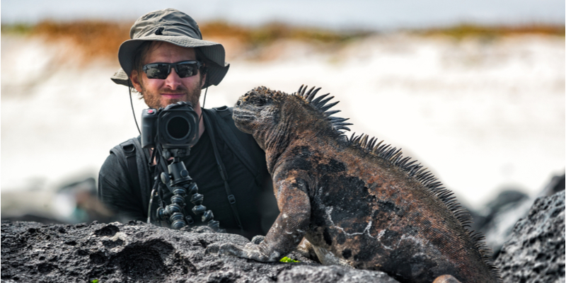 Iguana alle Galapagos