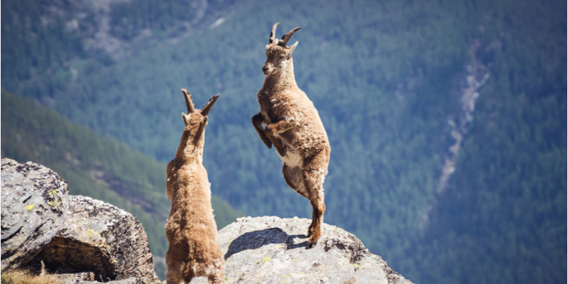 Parco Nazionale del Gran Paradiso