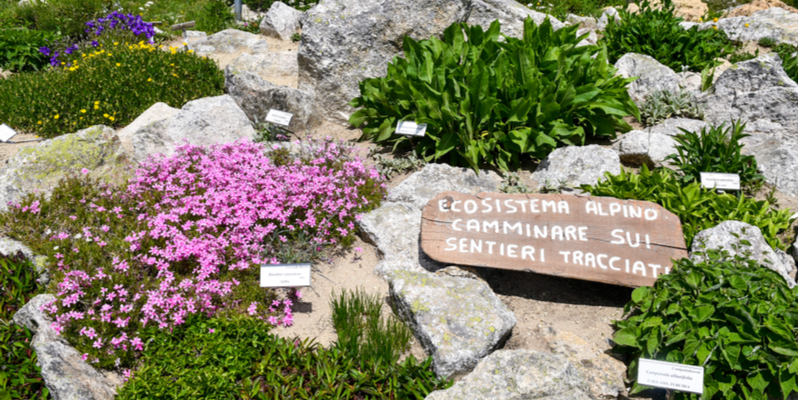 Il Giardino Botanico