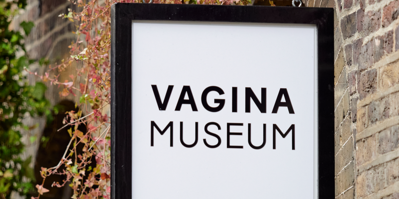 Vagina Museum