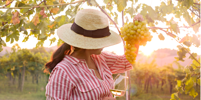 In giro per vigne