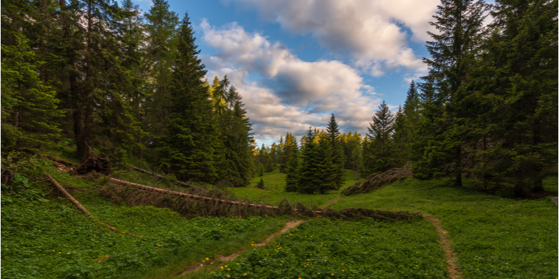 Walking Trail dal Monte Penegal