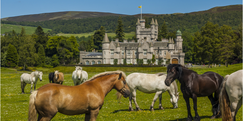 Castello di Balmoral e cavalli